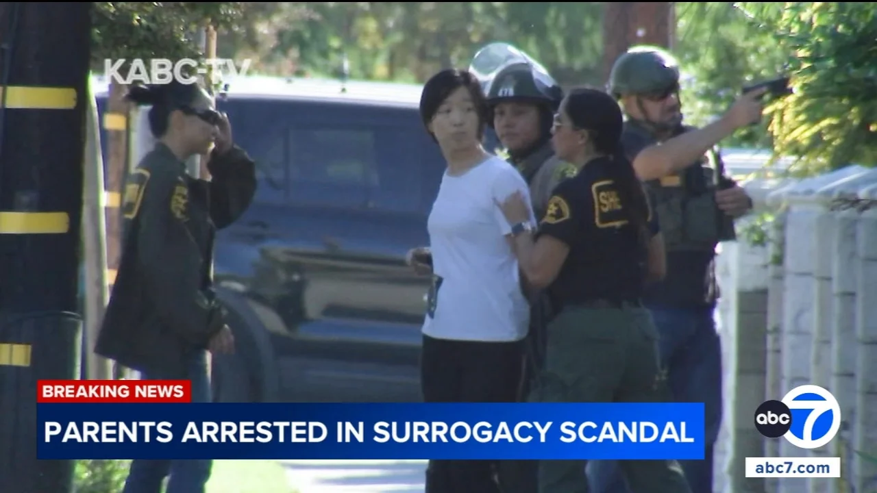 Arcadia surrogacy scandal: Guojon Xuan and Sylvia Zhang arrested on child abuse charges