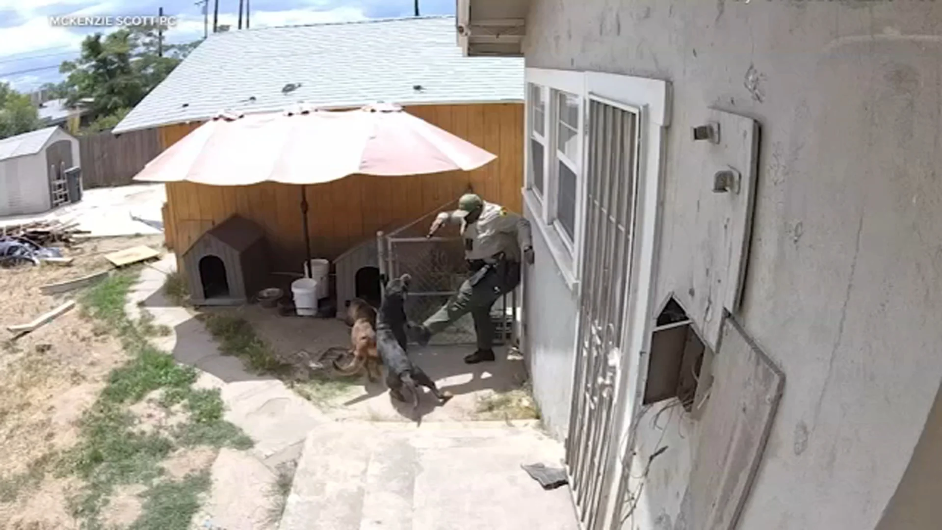 San Bernardino homeowner says deputy entered yard without warrant, fatally shot dog