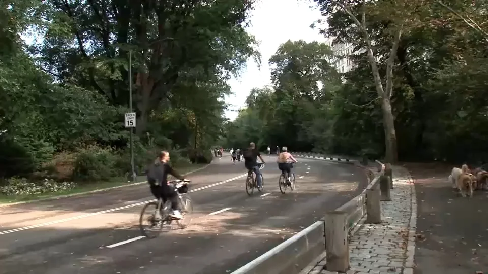 71-year-old man thrown from bike, killed after hitting dog in New York City's Central Park