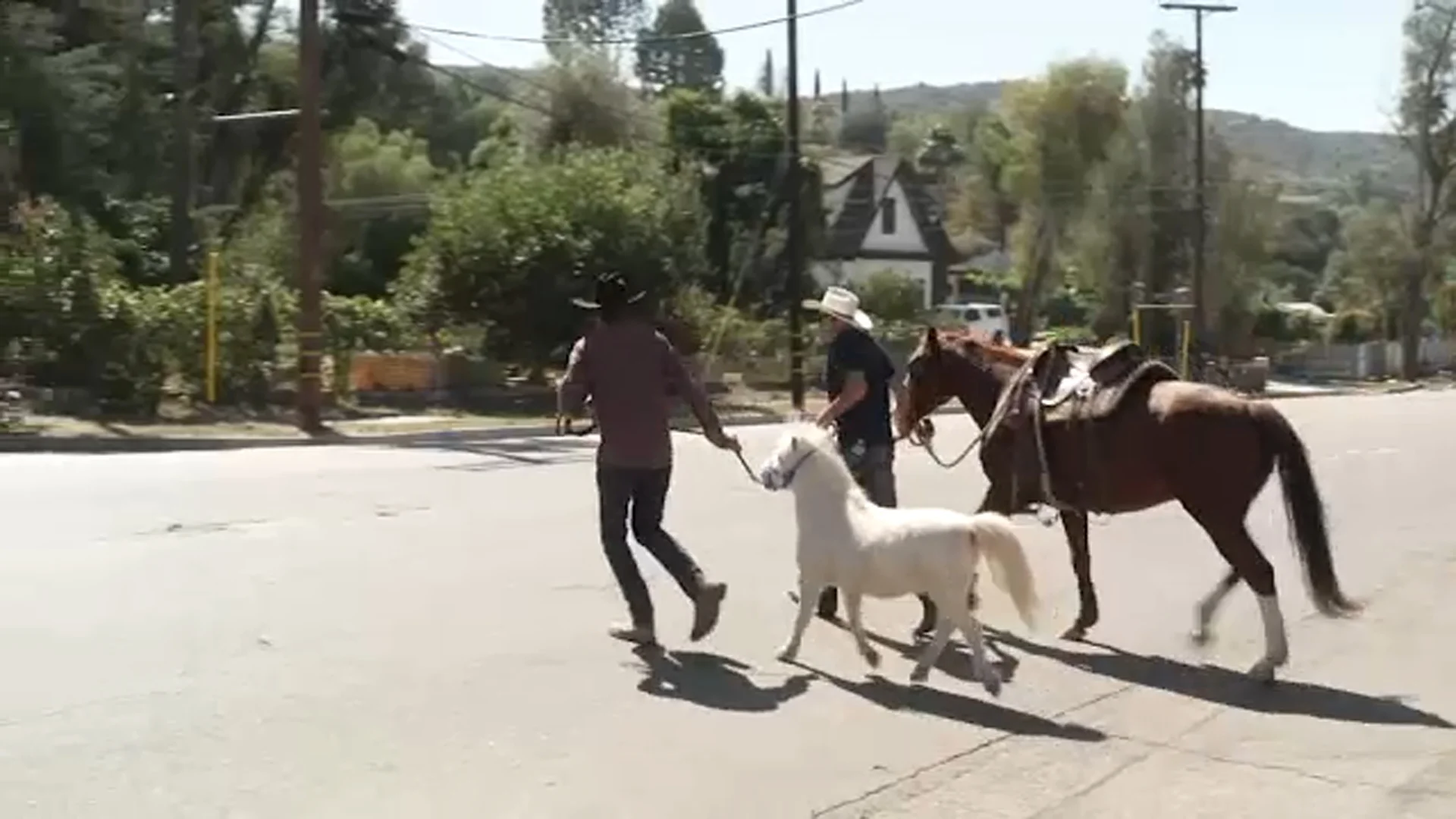 More funding approved for long-delayed horse crossing in busy Shadow Hills intersection