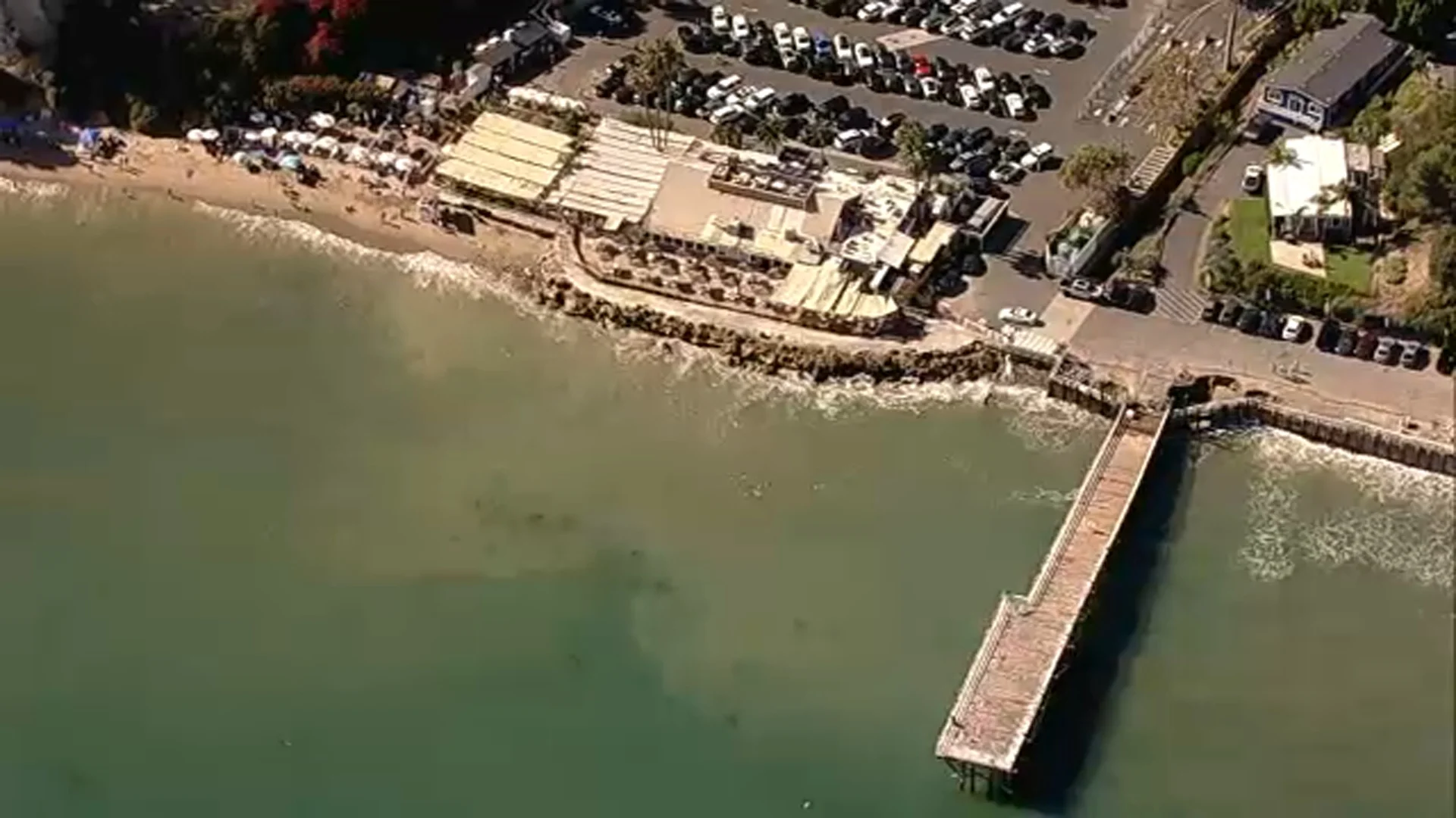 Kayaker bitten by shark twice while trying to release it off Malibu coast in California, authorities