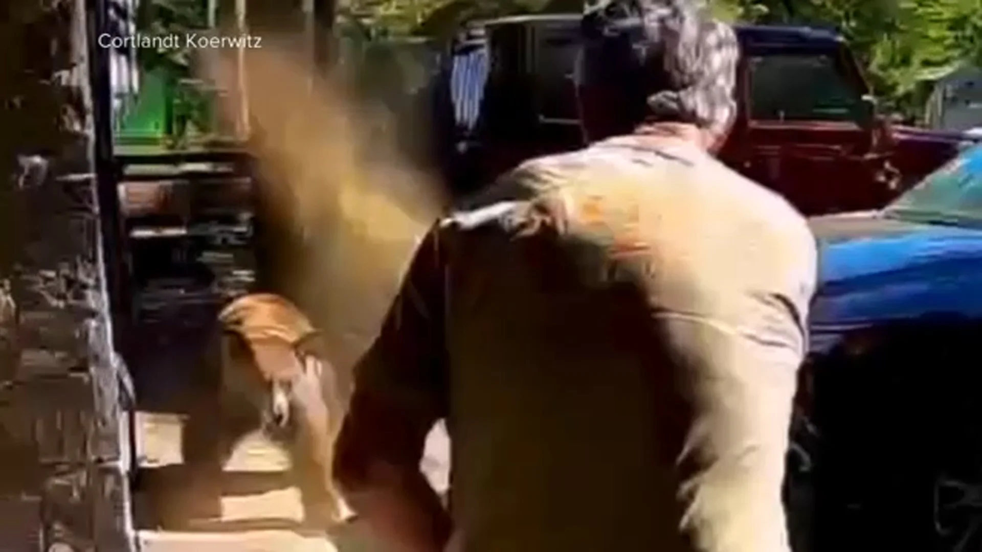 'It definitely worked:' Bear spray helps Lake Tahoe father fend off charging bear