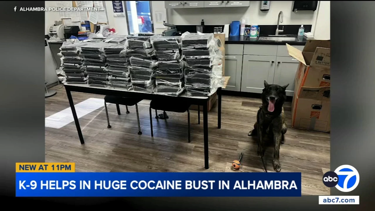 Alhambra police K-9 helps officers make huge cocaine bust
