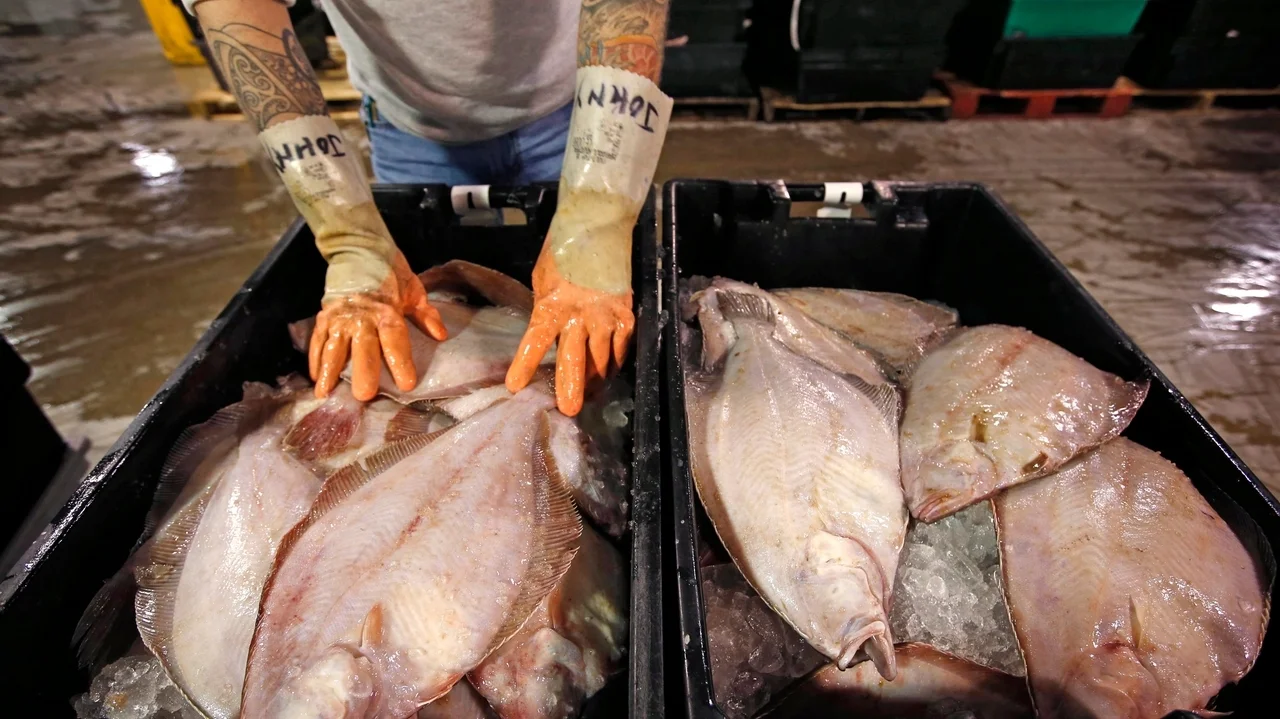 'Flat is Back' campaign hopes to put flounder back on people's plates