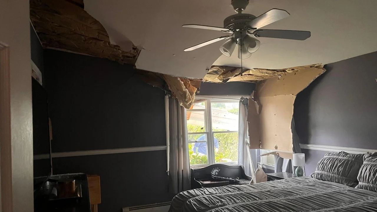Large tree crashes into East Patchogue home