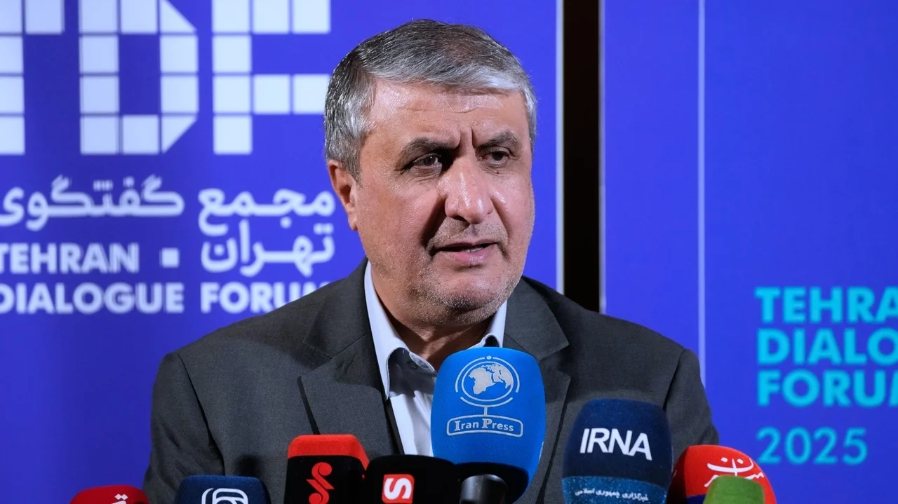 Iran's nuclear chief not expected to attend IAEA General Conference, official says