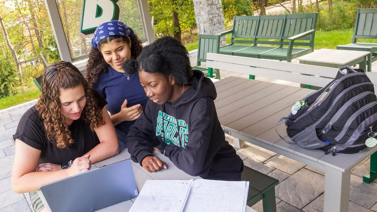 What makes SUNY Binghamton a 'public Ivy'?