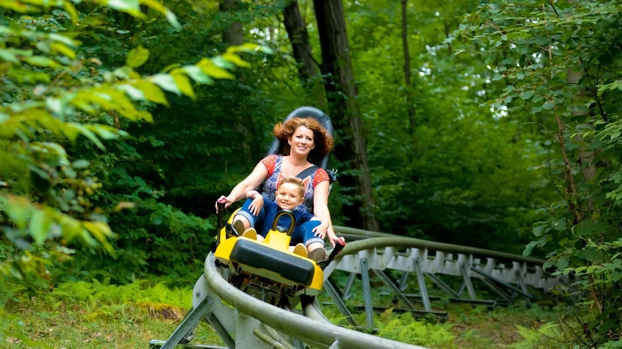 Explore upstate New York's fall foliage through thrilling adventures