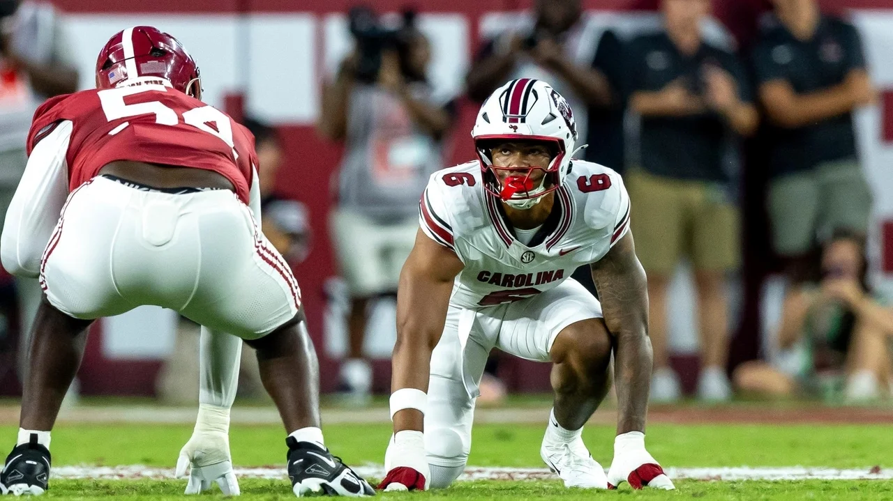 South Carolina's Dylan Stewart suspended indefinitely after throwing punch at Alabama player