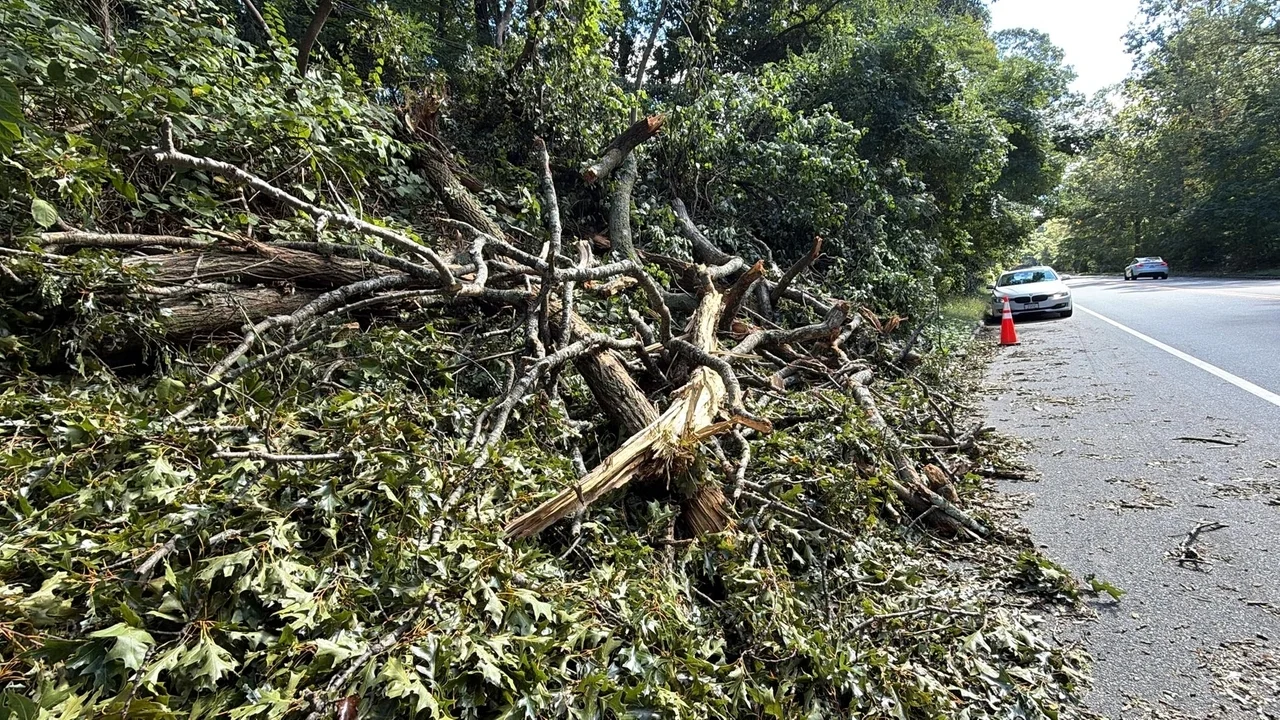 Towns and villages scramble to clear tree debris after nor'easter