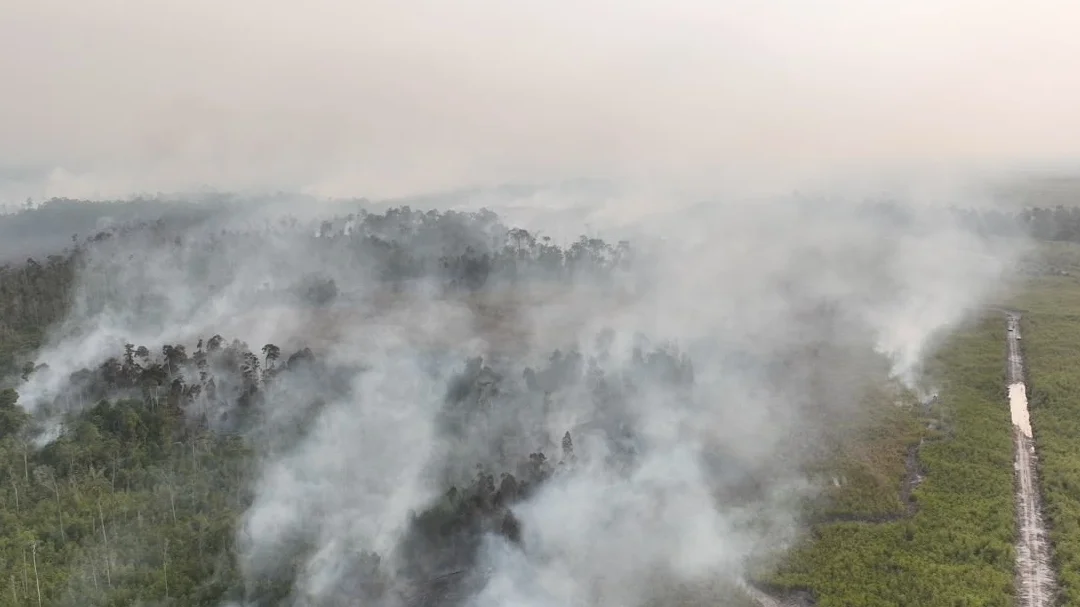 Indonesian police arrest 72 people suspected of starting forest fires