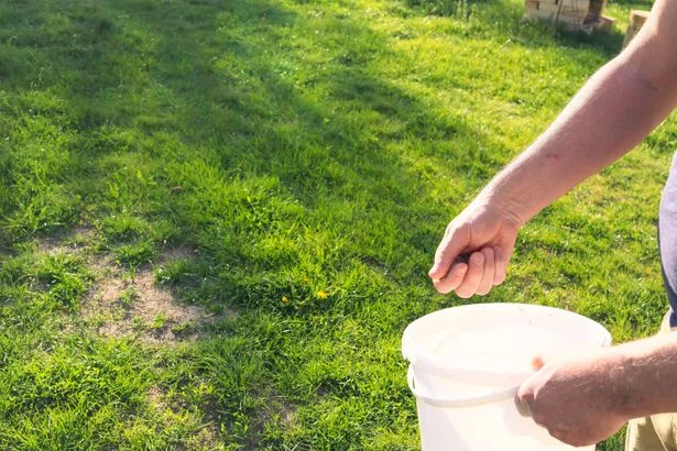Grass will be greener in 1 week if you add impressive item gardeners are buying at B&Q