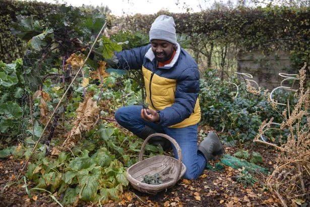 Five garden jobs need to be tackled this month, urges gardening expert