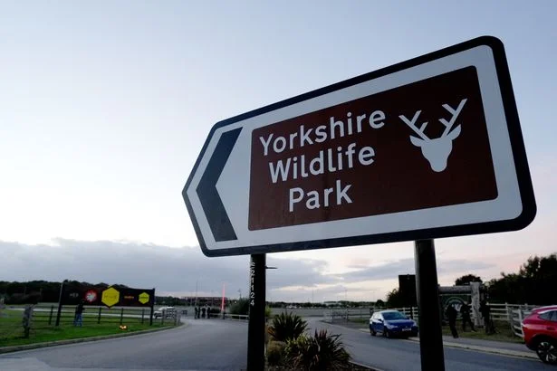 Yorkshire Wildlife Park shares new statement after fatal tiger attack on man