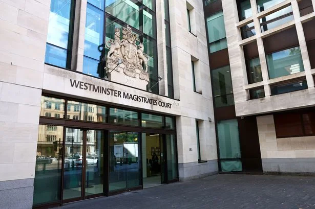 Ann Widdecombe murder accused in court on terror charges