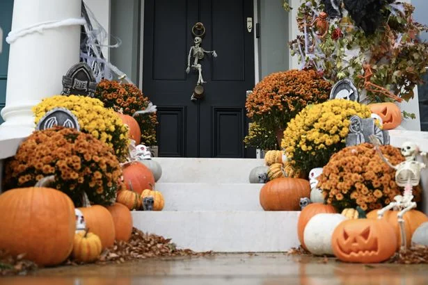 Binman points out problems with pumpkins this Halloween