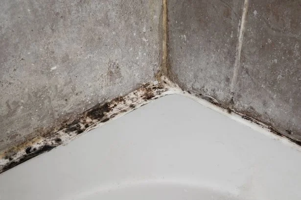 Remove black stains from silicone sealants using 45pp ingredient — no scrubbing