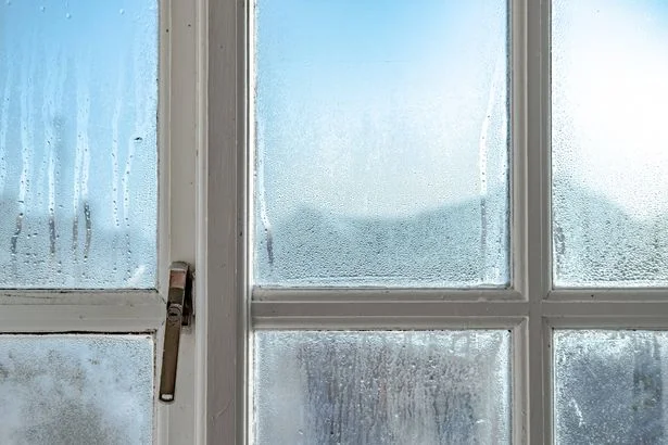 I keep condensation off my windows with simple 62p item that really works