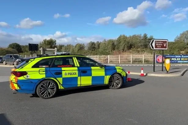 Police issue new update after man dies in tiger attack at Yorkshire Wildlife Park