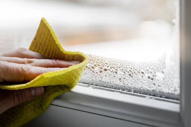 Condensation on windows 'disappears' with easy method – but you should be wary