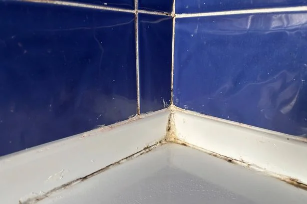 I compared HG vs Astonish mould remover around my bath – 1 worked with zero scrubbing