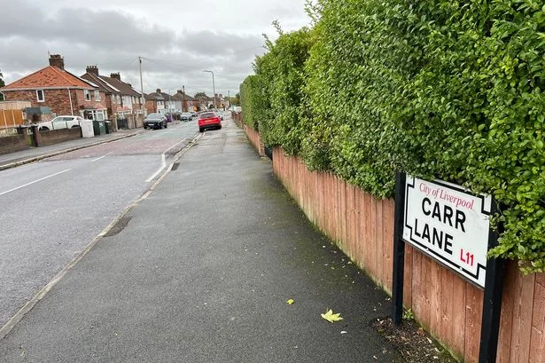 Man, 19, trapped inside car and assaulted by gang of men in Norris Green