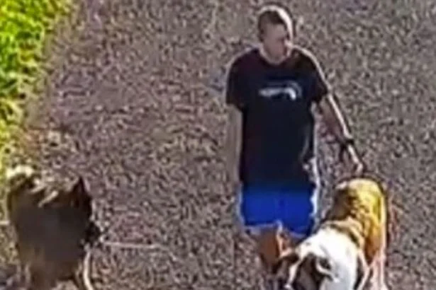 Dog walker could have 'vital information' after man's body found at West Kirby Marine Lake