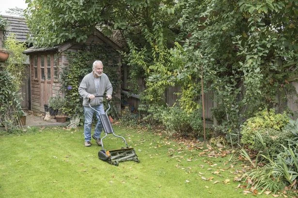 Key date to stop mowing your lawn this autumn - different by UK region