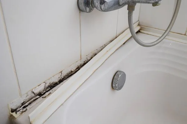 Remove mould and mildew from shower grout with cleaning expert's 'no scrub' method
