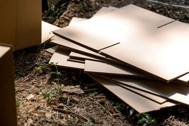 Gardeners urged to stop throwing away cardboard