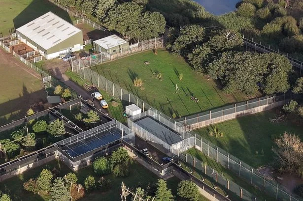 Yorkshire Wildlife Park victim's final question before entering tiger enclosure captured in new vide
