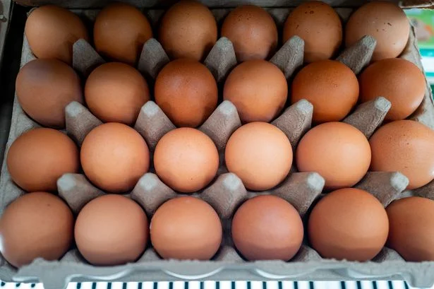 People urged 'do not eat' as urgent salmonella warning issued