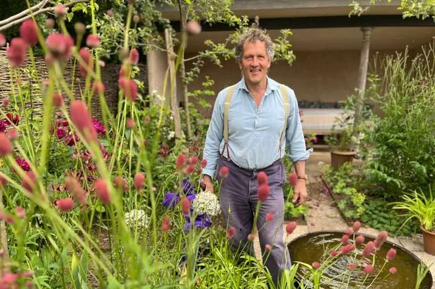 October gardening job Monty Don urges everyone to do for beautiful blooms next year
