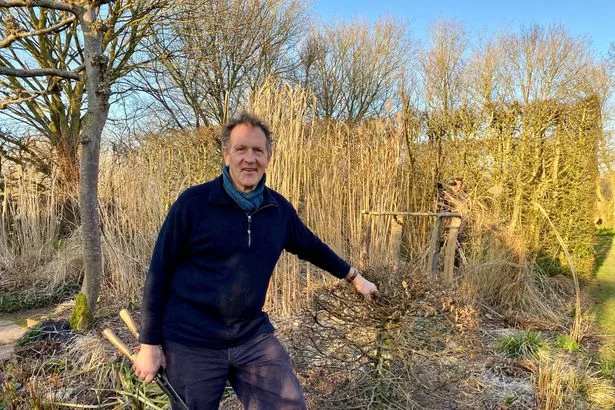Gardeners can 'save a fortune' by doing Monty Don's easy October task now