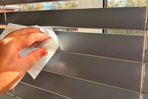 My blinds stay dust-free for months if I wipe them with 1 cheap Home Bargains item