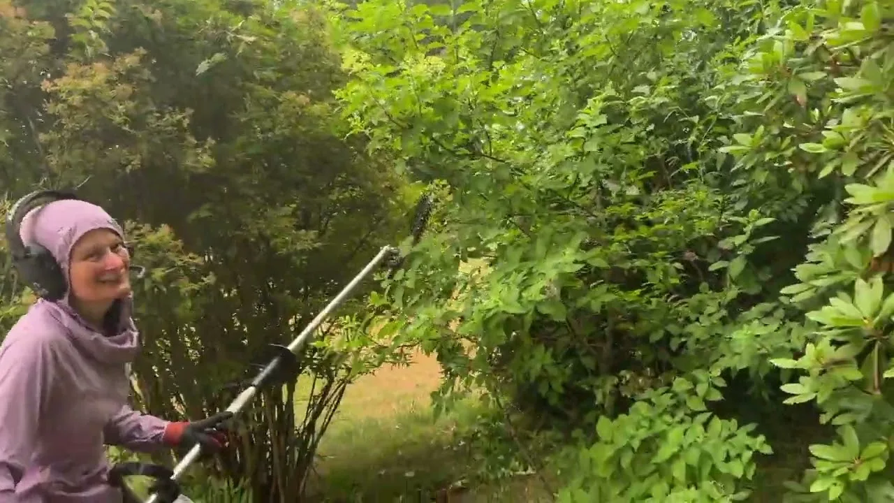 Bush Trimming